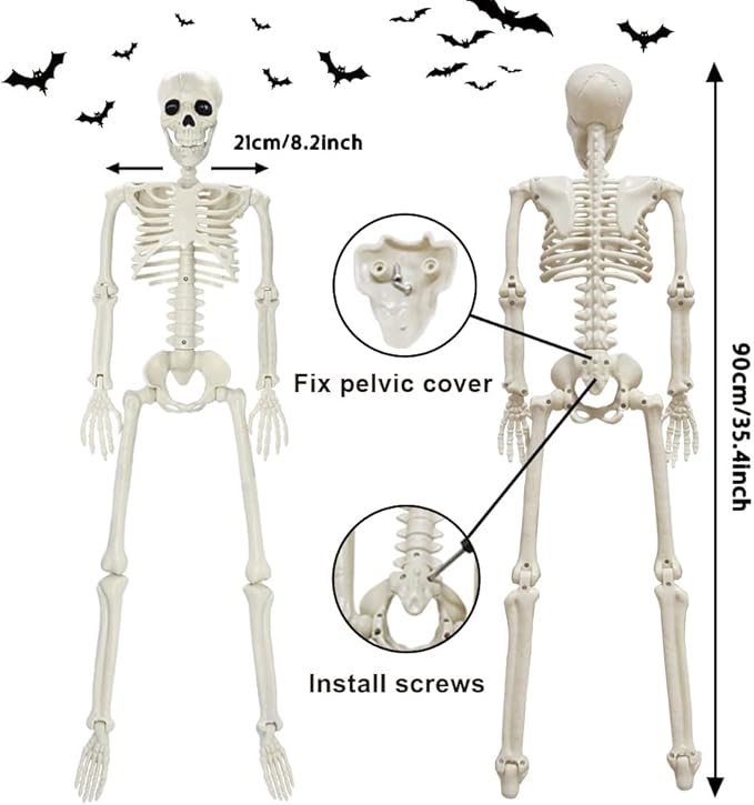 CAMIRUS 2PACK 36" Skeleton Halloween Decorations, 3ft Life Full Size Skeleton with Realistic Posable Movable Joints for Halloween Haunted Houses, Lawn, Graveyard