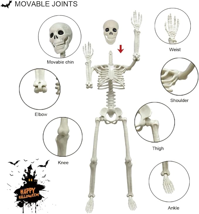 CAMIRUS 2PACK 36" Skeleton Halloween Decorations, 3ft Life Full Size Skeleton with Realistic Posable Movable Joints for Halloween Haunted Houses, Lawn, Graveyard