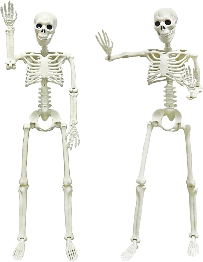CAMIRUS 2PACK 36" Skeleton Halloween Decorations, 3ft Life Full Size Skeleton with Realistic Posable Movable Joints for Halloween Haunted Houses, Lawn, Graveyard