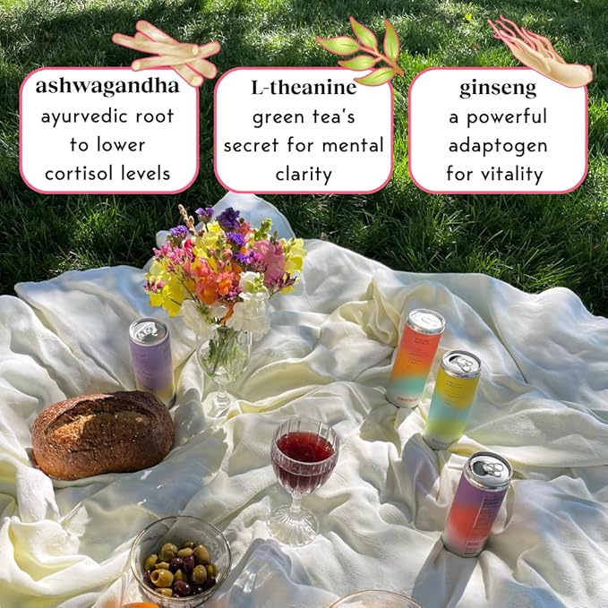 Moment Mocktails Non Alcoholic Drinks (Shark Tank) | SPARKLING Classics Adaptogen Drink | L-Theanine & Ashwagandha for Calm & Clarity | 0 Added Sugar 0 Caffeine | 24-pack