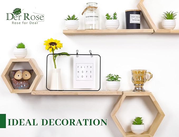 Der Rose Set of 6 Succulents Plants Artificial in Pots Small Fake Plants for Bedroom Aesthetic Living Room Shelf Bathroom Decor Office Desk Accessories
