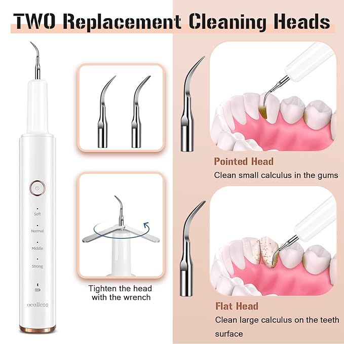 Plaque Remover for Teeth, Electric Tooth Cleaner Tartar Remover for Teeth with LED Light,4 Modes Rechargeable Teeth Cleaning Kit with Dental Tools, 2 Replaceable Heads (White A)