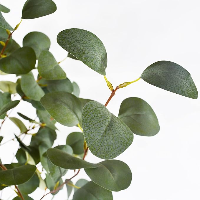 Artificial Eucalyptus Tree, 6ft Tall Fake Eucalyptus Plant with Basket, Green Silver Dollars Silk Leaves Faux Tree for Home Office Livingroom Floor Decor Indoor
