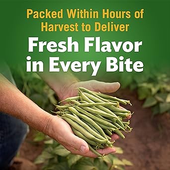 Del Monte FRESH CUT BLUE LAKE French Style Green Beans Canned Vegetables, 14.5 Ounce (Pack of 24), (2400016289)