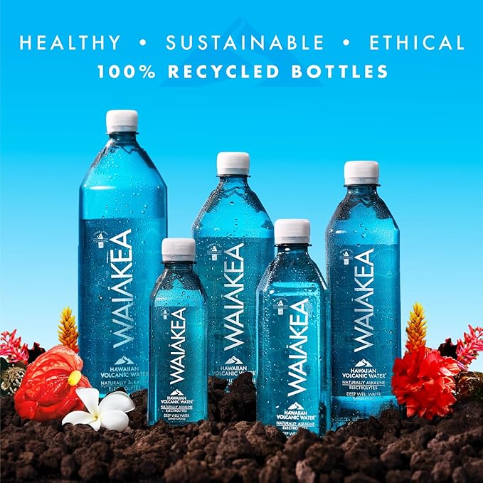 VOSS Premium Still Bottled Natural Water - BPA-Free - High Grade PET - Recyclable Plastic - Pure Drinking Water with Unique & Iconic Bottle Design - 24 Pack