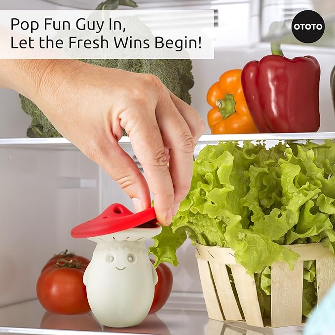 OTOTO Fridge Deodorizer Baking Soda Odor Absorber Refrigerator Deodorizer