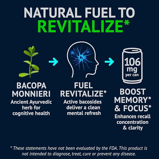 NEORON - Brain Armor, Focus & Memory Support, Sugar‐Free Nootropic Drink, Vegan (Pack of 12, Ginger Kick, Orange & Grapefruit)