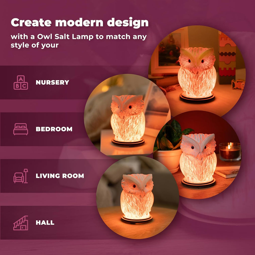 Owl Crystal Salt Lamp H 6.7”, 4.4 lbs - Pure Natural Rock Salt – Unique Night Light Lamp - 1 Light Bulb as a Gift - Wooden Present Box - Holiday Gift Ideas - Cool Room Décor