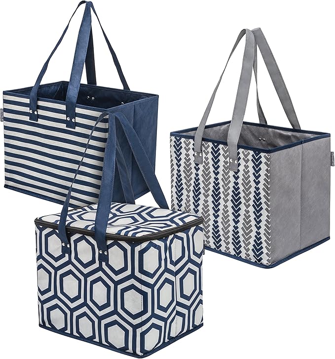 PLANET E Reusable Foldable Grocery Bags with Reinforced Bottoms and Insulated Cooler (Pack of 3)